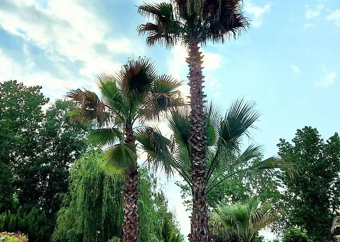 Apartamento Aphrodite Roce *